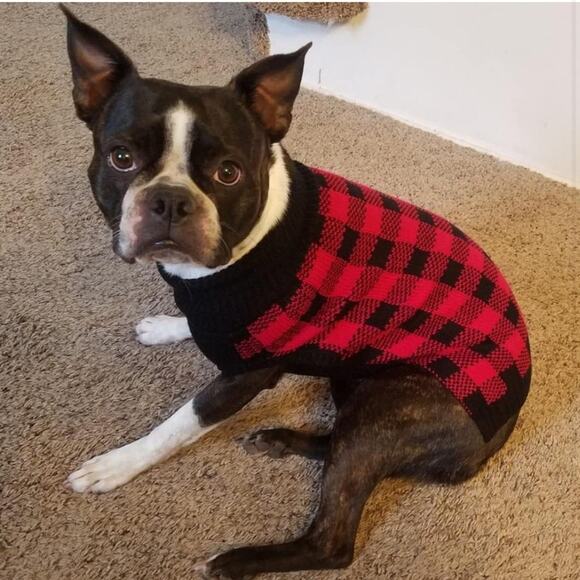XL Black and Red Checkered Dog Shirt NWOT - Picture 11 of 11